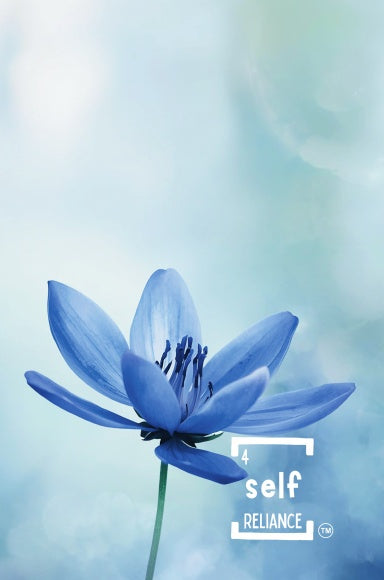 Book Cover Variant Thumbnail