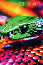 Snake Eye